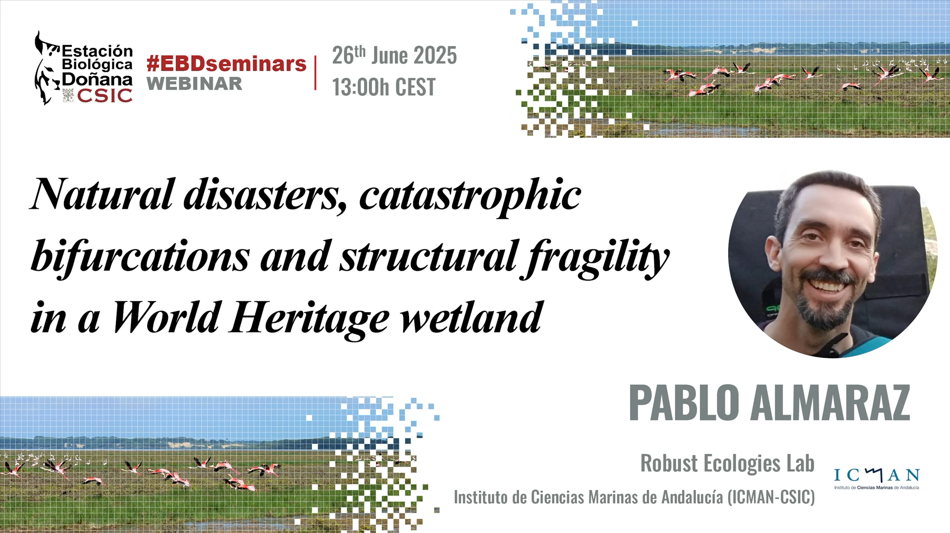 Natural disasters, catastrophic bifurcations and structural fragility in a World Heritage wetland